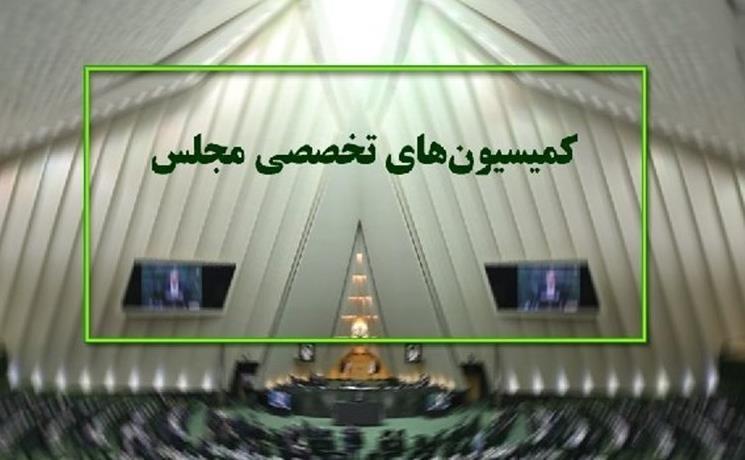 کمیسیون تحقیق مجلس درباره اعتبارنامه تاجگردون بیانیه صادر کمیسیون تحقیق مجلس درباره اعتبارنامه تاجگردون بیانیه صادر کرد
