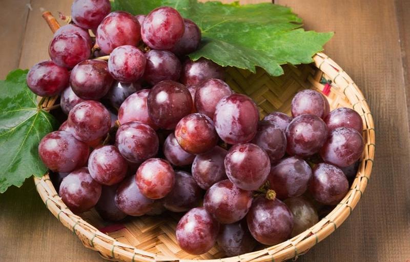 6 خوراکیِ ضد آفتاب برای انواع پوست 6 خوراکیِ ضد آفتاب برای انواع پوست