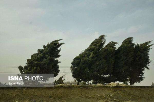 وزش باد شدید در 7 استان، کولاک برف در 16 استان