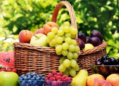 میوه های چربی سوز